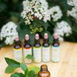 Homéopathie